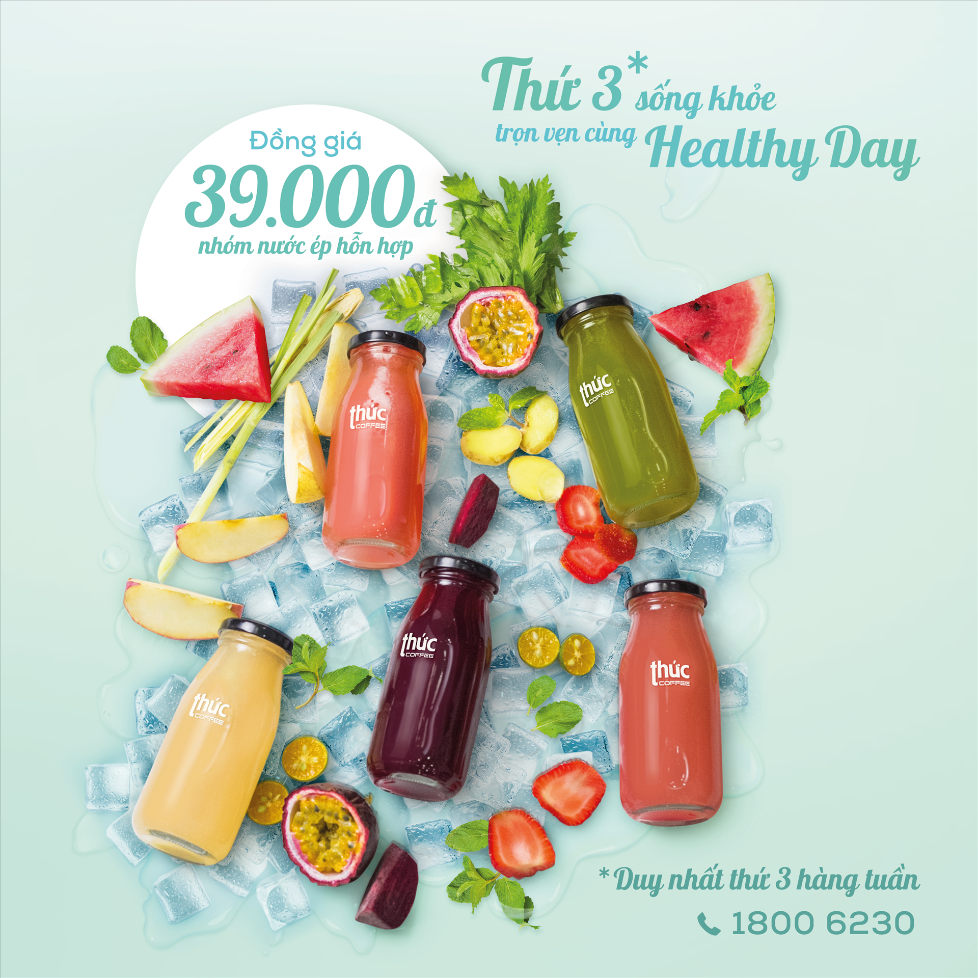 HEALTHY DAY - ĐỒNG GIÁ 39.000Đ